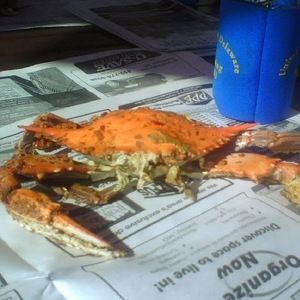 Meet your Posher, Julie